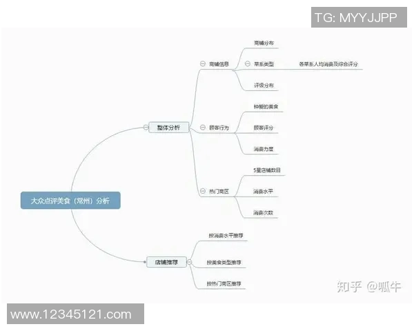 杭州羽毛球队在全国锦标赛中的团队协作表现分析与点评
