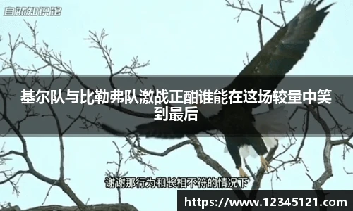 基尔队与比勒弗队激战正酣谁能在这场较量中笑到最后
